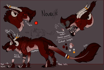 Nova Reference